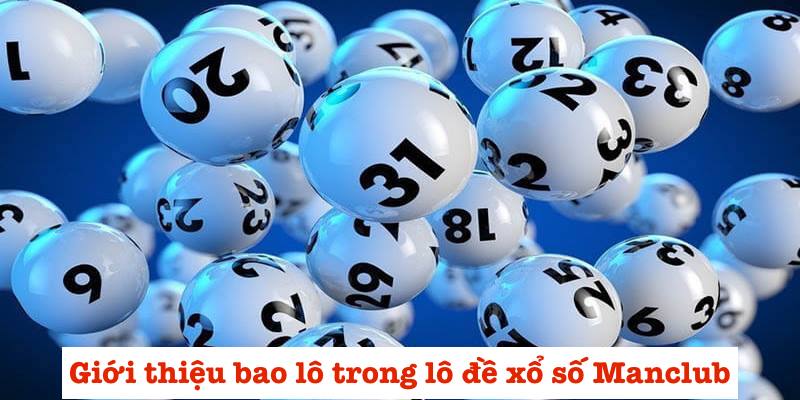 Giới thiệu bao lô trong lô đề xổ số